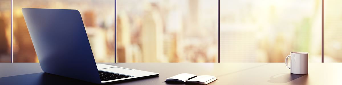 professional translation