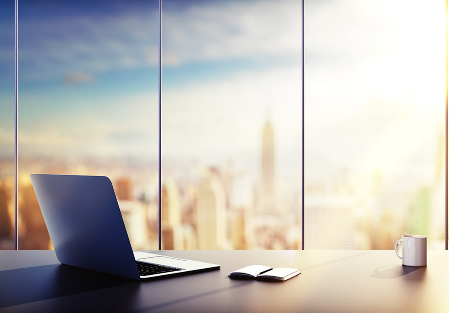 Professional Translation